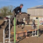 Captain ex military horse